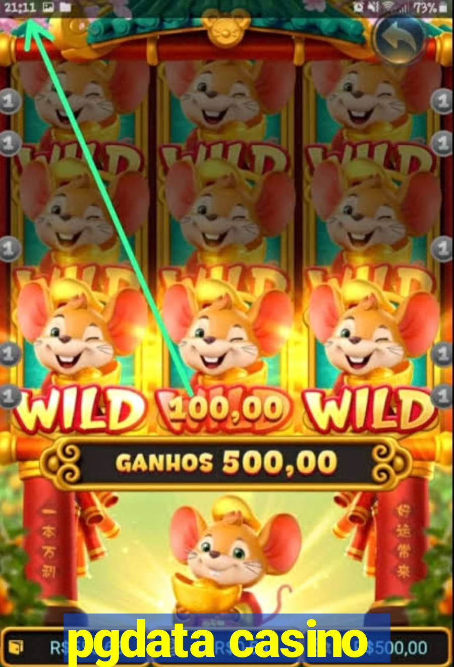 pgdata casino